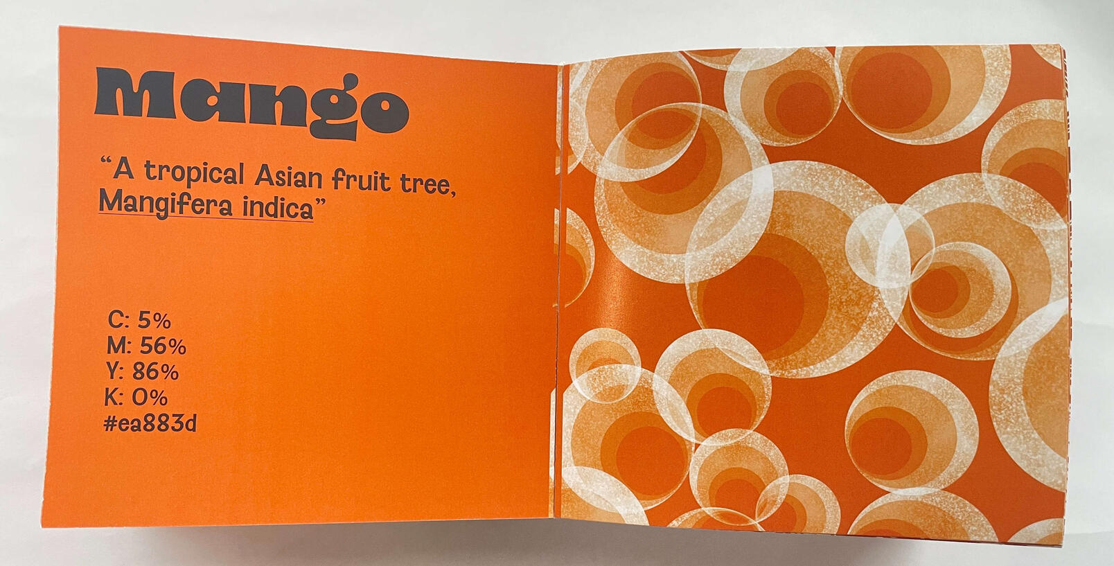 Orange page spread